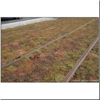 2013-08-30 -T7- Villejuif 03.jpg